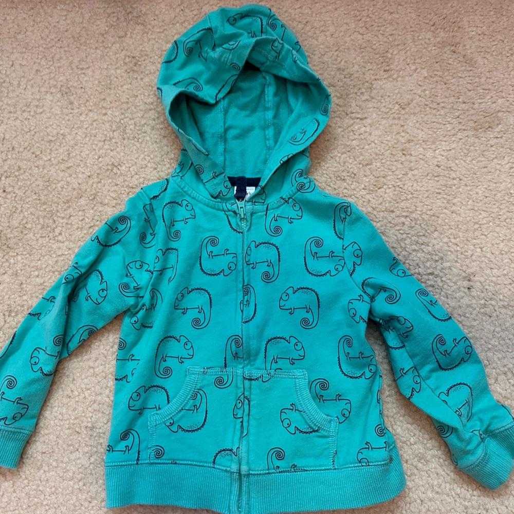 Carter's Aqua Chameleon Print Hoodie